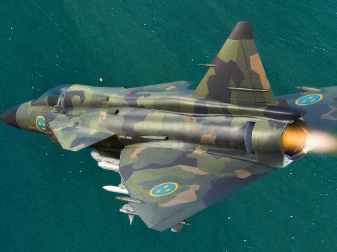 Saab 37 ViggenForest-High Quality Textures with Cocpit-Fully Rigged Modèle 3D