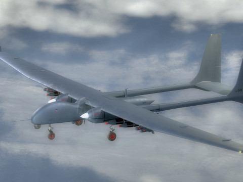 AKSUNGUR - Fuly Rigged - High Resolution Texture 3Dモデル
