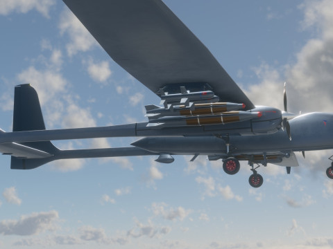 AKSUNGUR - Fuly Rigged - High Resolution Texture 3Dモデル