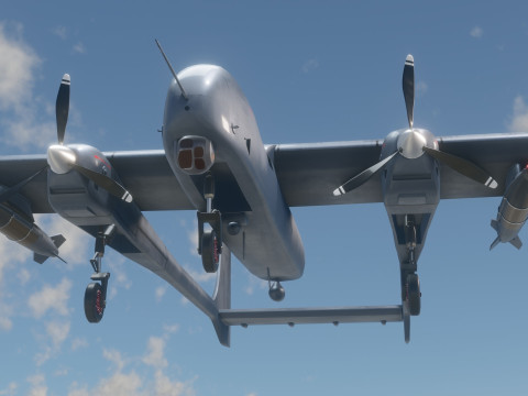AKSUNGUR - Fuly Rigged - High Resolution Texture 3Dモデル