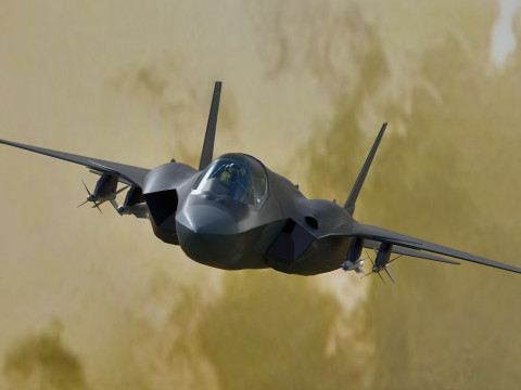 Custom Fighter Jet - Fully Rigged - Changable Decal and Text Model 3D