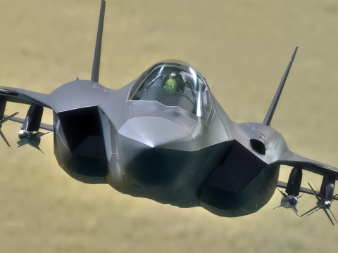Custom Fighter Jet - Fully Rigged - Changable Decal and Text Model 3D