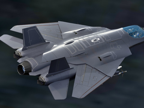 Custom Fighter Jet - Fully Rigged - Changable Decal and Text Model 3D