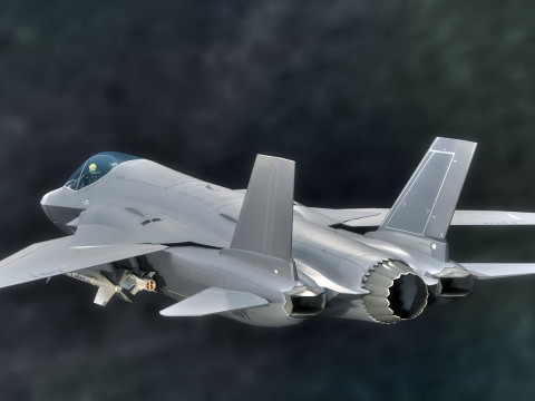Custom Fighter Jet - Fully Rigged - Changable Decal and Text Model 3D