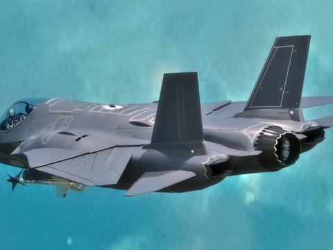 Custom Fighter Jet - Fully Rigged - Changable Decal and Text Model 3D