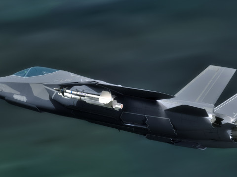 Custom Fighter Jet - Fully Rigged - Changable Decal and Text Model 3D