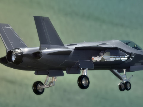 Custom Fighter Jet - Fully Rigged - Changable Decal and Text Model 3D