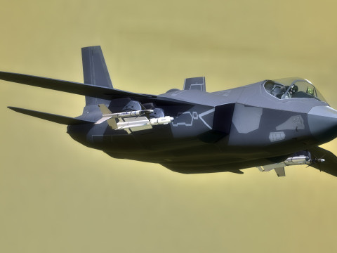 Custom Fighter Jet - Fully Rigged - Changable Decal and Text Model 3D
