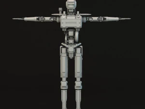 chappie 3D Model
