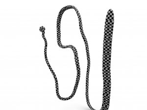tapeworm 3D 模型
