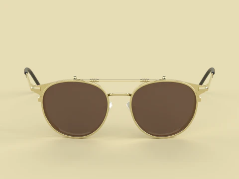 Firenze Eyewear Glasses 3D Model