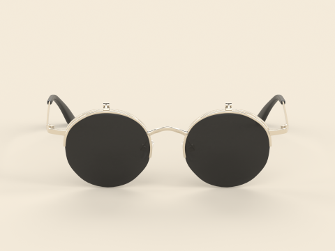 Palermo Eyewear Glasses 3D 모델