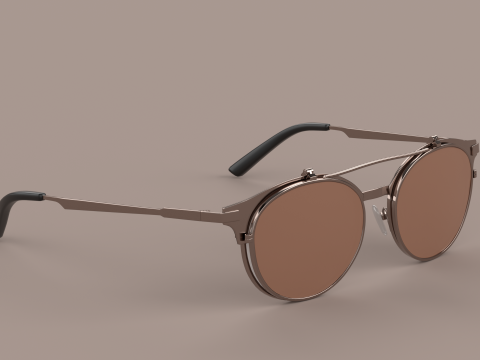 Venezia Eyewear Glasses Model 3D