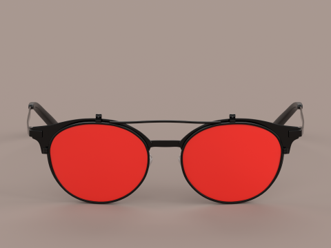 Venezia Eyewear Glasses Model 3D