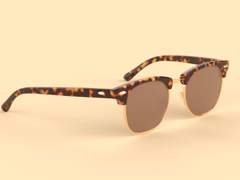 Carter Eyewear Glasses 3D Model