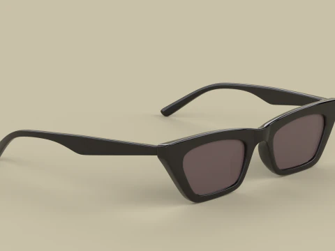 卡塔琳娜眼镜 眼镜 3D 模型