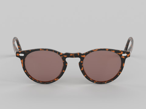 Peter Eyewear Glasses Model 3D