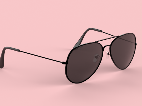Portland Eyewear Glasses 3D 모델