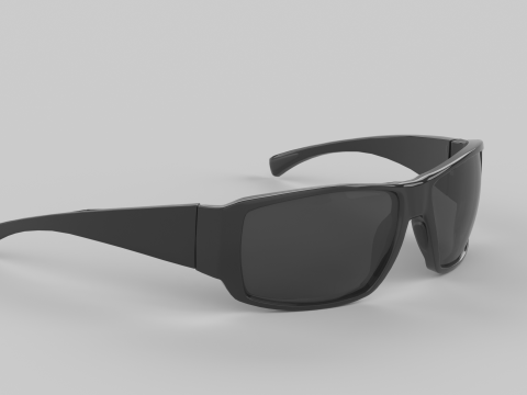 Truckee Eyewear Glasses 3D 모델