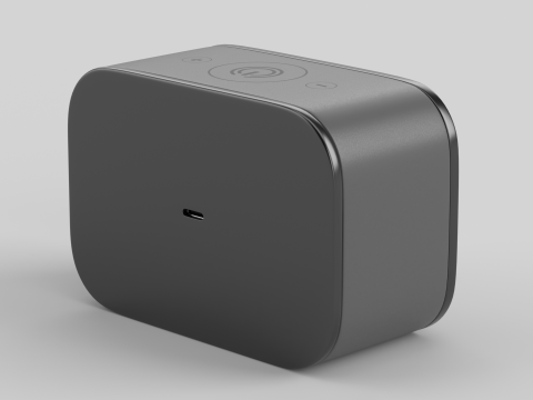 Wireless Speaker Black Model 3D