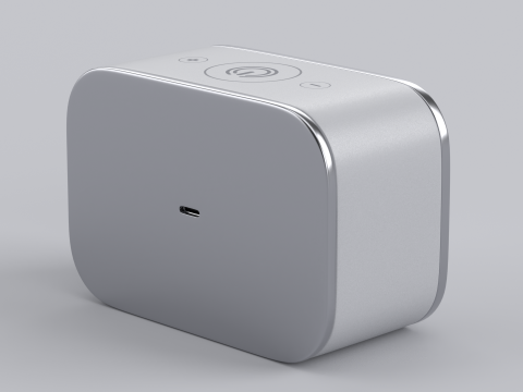 Wireless Speaker Grey Modelo 3D