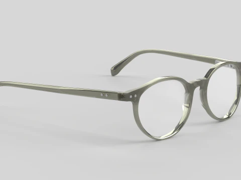 Case Closed Eyewear Glasses 3D Model