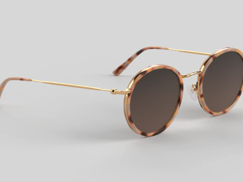 Amsterdam Eyewear Glasses 3D Model