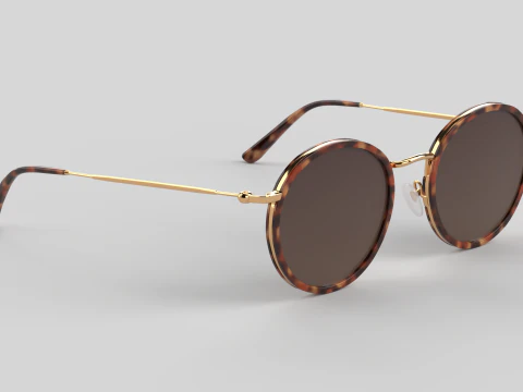Amsterdam Eyewear Glasses 3D Model