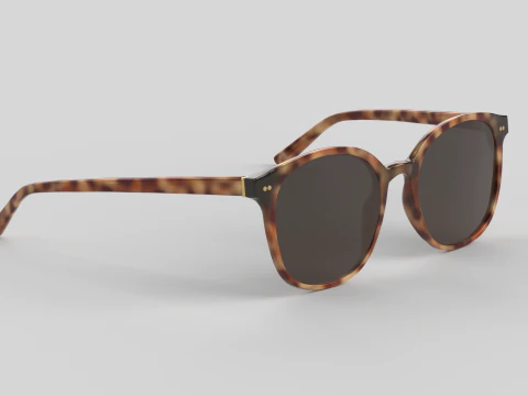 Nairobi Eyewear Glasses 3D Model