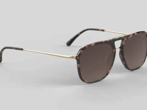 Zurich Eyewear Glasses 3D Model