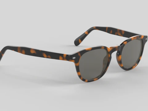 Paloma Eyewear Glasses 3D Model