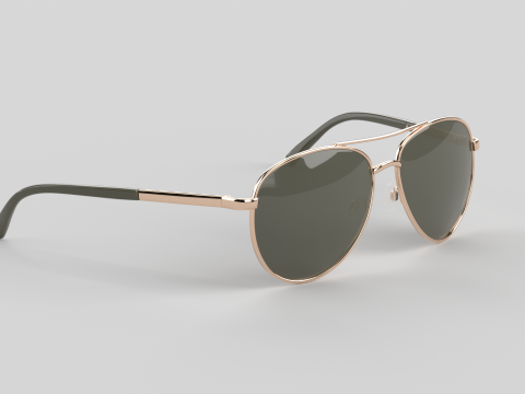 Crux Eyewear Glasses 3D Model