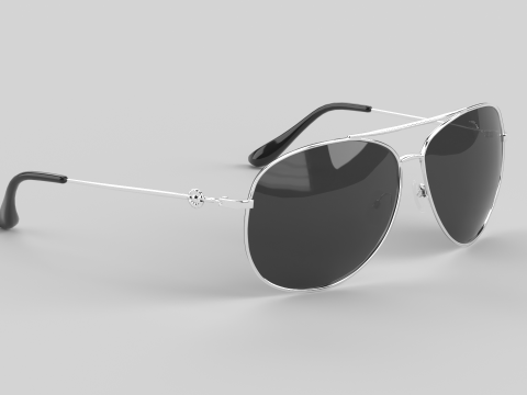 Carmel Eyewear Glasses Modèle 3D