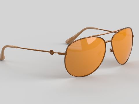 Carmel Eyewear Glasses Modèle 3D