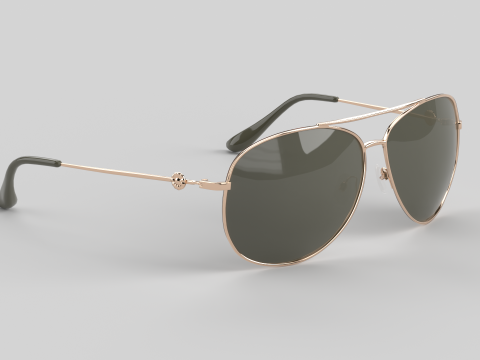 Carmel Eyewear Glasses Modèle 3D