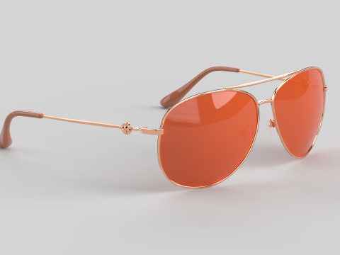 Carmel Eyewear Glasses Modèle 3D