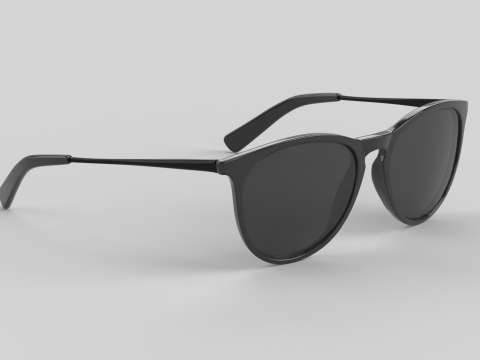 Pilot Eyewear Glasses Modelo 3D
