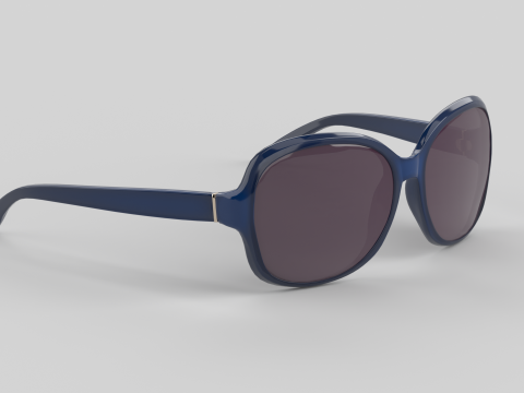 Birdie Eyewear Glasses 3D Model