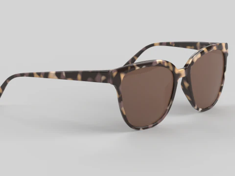 Camina Eyewear Glasses 3D Model