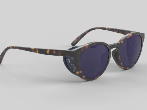 Tera Eyewear Glasses 3D Model