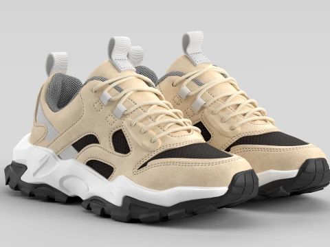 Chunky Grey Shoe Sneaker 3D Model