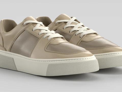 AeroMint Stone Gray Shoe Sneaker Modello 3D