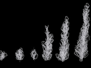 pack of 6 thuja trees 3D Model