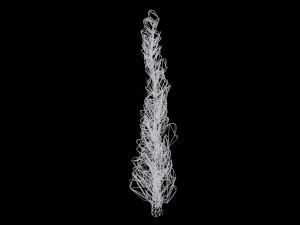 pack of 6 thuja trees 3D Model