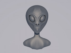 newcomer 3D Model