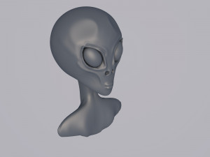 newcomer Model 3D