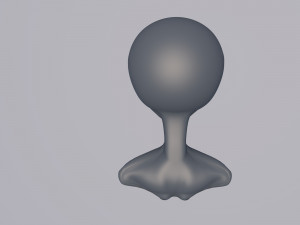 newcomer Model 3D