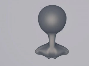 newcomer 3D Model
