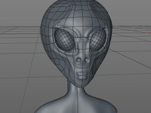 newcomer Model 3D