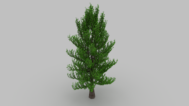 tree Modèle 3D .c4d .max .obj .3ds .fbx .stl .blend 